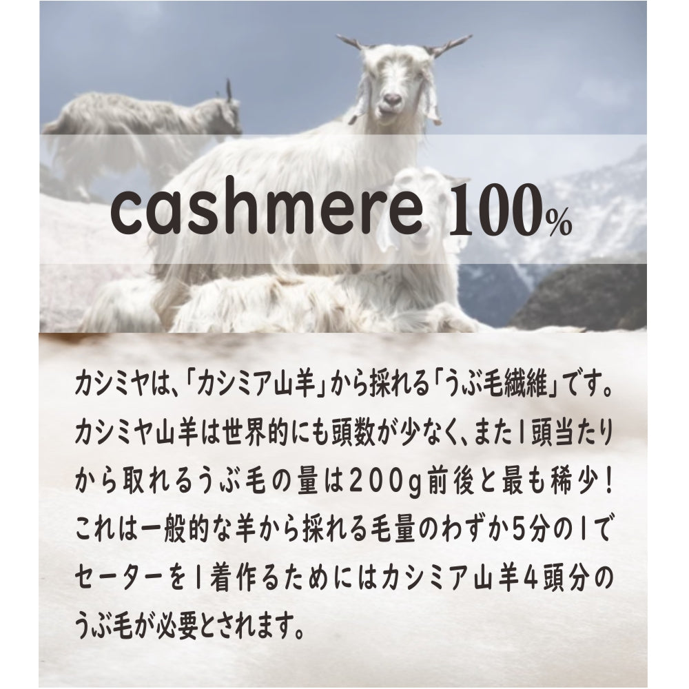 カシミヤ100％　フード